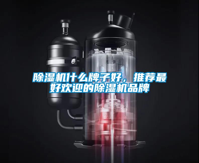 除濕機(jī)什么牌子好，推薦最好歡迎的除濕機(jī)品牌