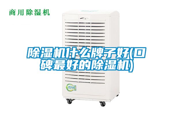 除濕機什么牌子好(口碑最好的除濕機)