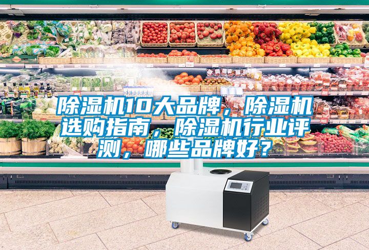 除濕機10大品牌，除濕機選購指南，除濕機行業(yè)評測，哪些品牌好？