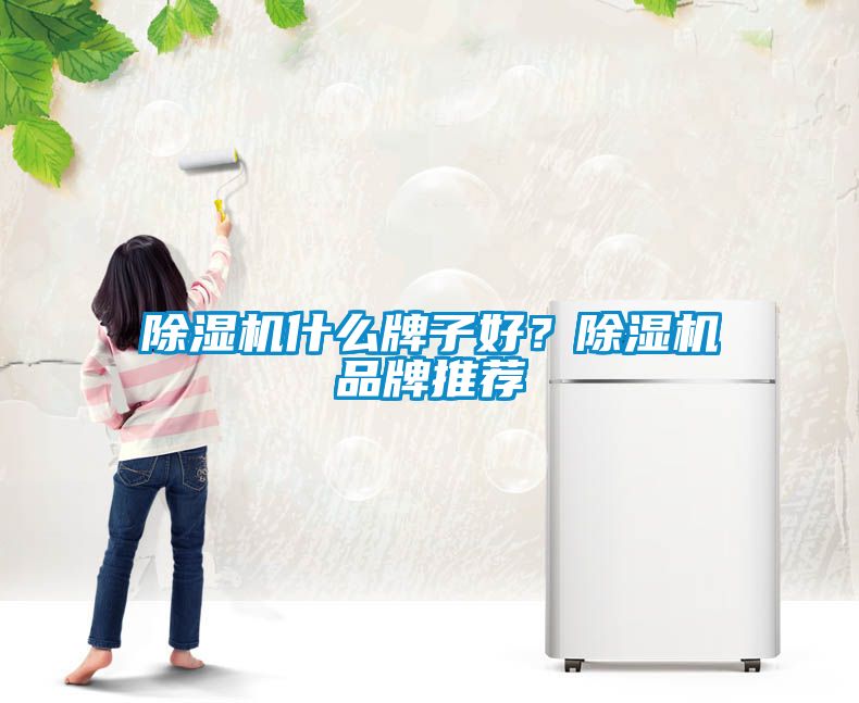 除濕機(jī)什么牌子好？除濕機(jī)品牌推薦