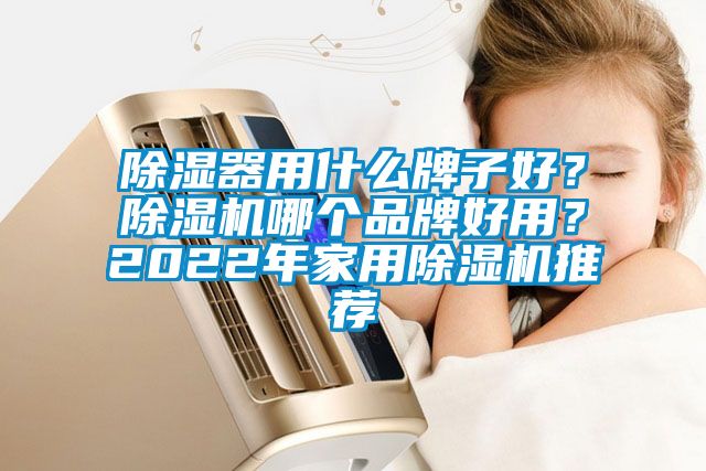 除濕器用什么牌子好？除濕機(jī)哪個(gè)品牌好用？2022年家用除濕機(jī)推薦