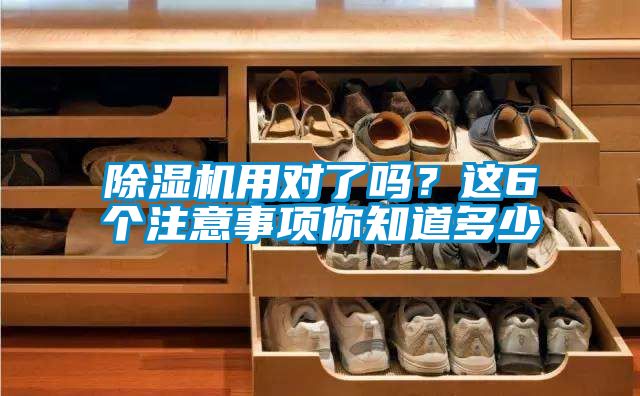 除濕機用對了嗎？這6個注意事項你知道多少