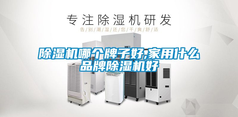 除濕機哪個牌子好,家用什么品牌除濕機好