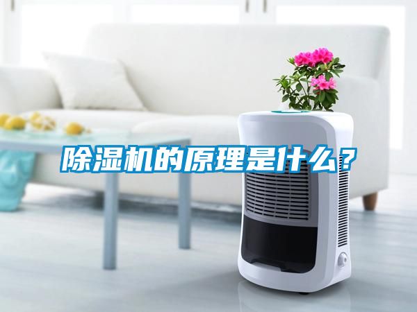 除濕機(jī)的原理是什么？