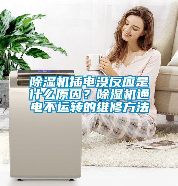 除濕機插電沒反應(yīng)是什么原因？除濕機通電不運轉(zhuǎn)的維修方法