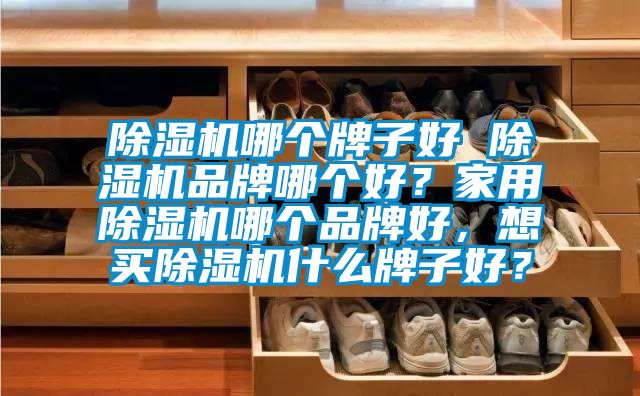 除濕機哪個牌子好 除濕機品牌哪個好？家用除濕機哪個品牌好，想買除濕機什么牌子好？