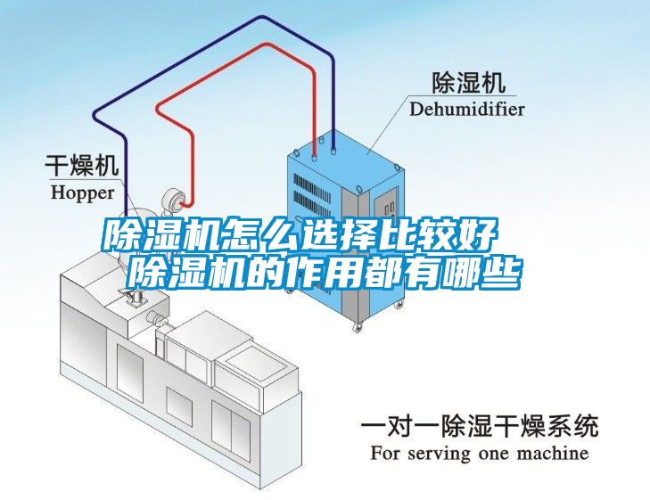 除濕機怎么選擇比較好  除濕機的作用都有哪些