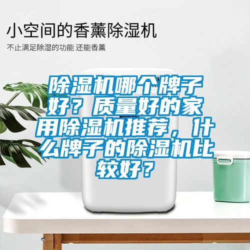 除濕機(jī)哪個(gè)牌子好？質(zhì)量好的家用除濕機(jī)推薦，什么牌子的除濕機(jī)比較好？