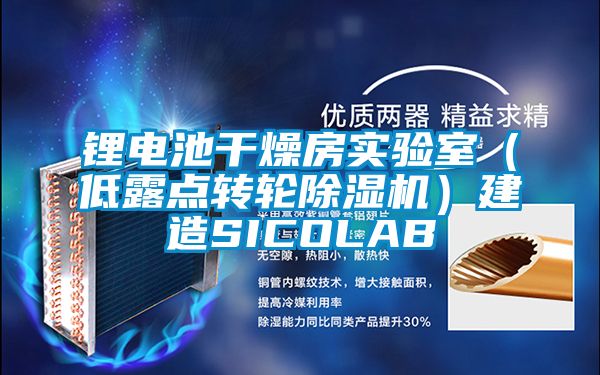 鋰電池干燥房實驗室（低露點轉(zhuǎn)輪除濕機）建造SICOLAB