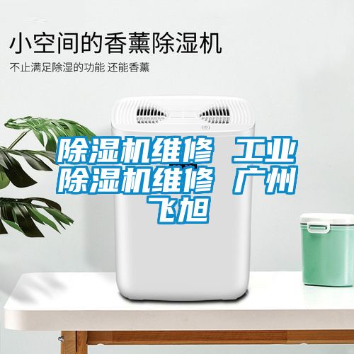 除濕機維修 工業(yè)除濕機維修 廣州飛旭