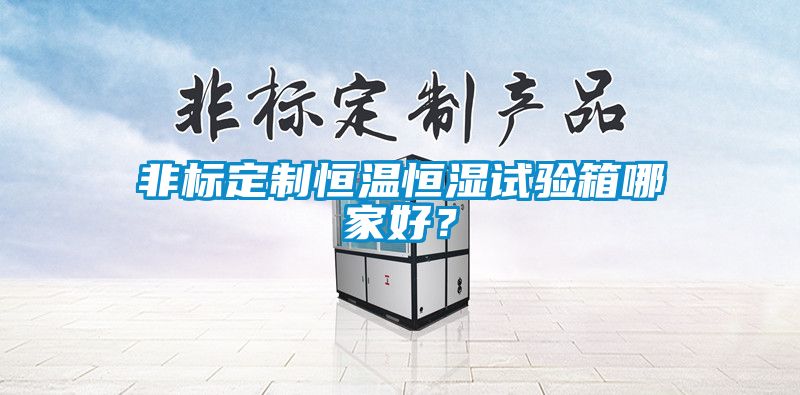 非標(biāo)定制恒溫恒濕試驗(yàn)箱哪家好？