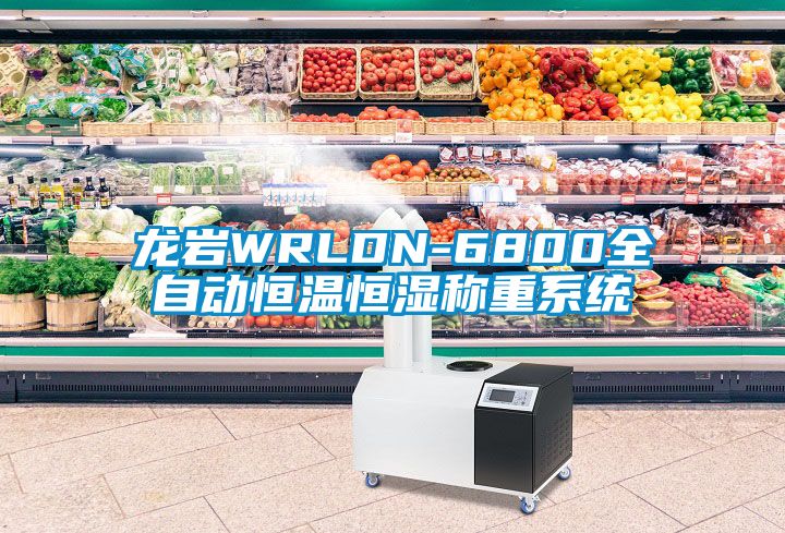 龍巖WRLDN-6800全自動恒溫恒濕稱重系統(tǒng)