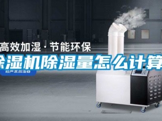 企業(yè)新聞除濕機(jī)除濕量怎么計算？