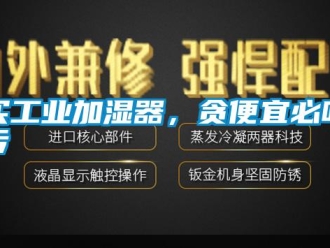 行業(yè)新聞買工業(yè)加濕器，貪便宜必吃虧