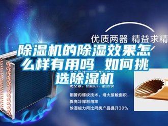 企業(yè)新聞除濕機(jī)的除濕效果怎么樣有用嗎 如何挑選除濕機(jī)