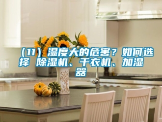 企業(yè)新聞（11）濕度大的危害？如何選擇 除濕機(jī)、干衣機(jī)、加濕器