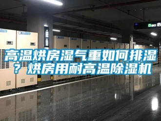 行業(yè)新聞高溫烘房濕氣重如何排濕？烘房用耐高溫除濕機(jī)