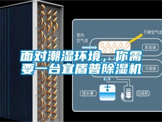 行業(yè)新聞面對潮濕環(huán)境，你需要一臺宜盾普除濕機