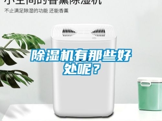 行業(yè)新聞除濕機有那些好處呢？