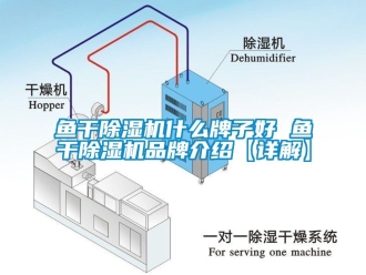 企業(yè)新聞魚干除濕機(jī)什么牌子好 魚干除濕機(jī)品牌介紹【詳解】