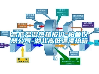 常見問題高低溫濕熱箱報價-柏舍儀器公司-湖北高低溫濕熱箱