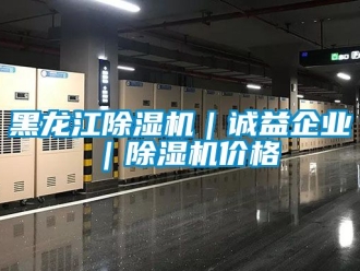 企業(yè)新聞黑龍江除濕機｜誠益企業(yè)｜除濕機價格