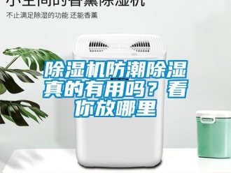 行業(yè)新聞除濕機(jī)防潮除濕真的有用嗎？看你放哪里