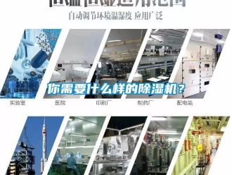 行業(yè)新聞你需要什么樣的除濕機？