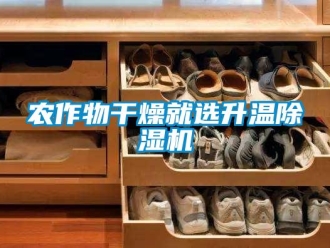 行業(yè)新聞農(nóng)作物干燥就選升溫除濕機