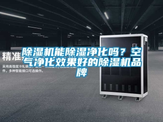 企業(yè)新聞除濕機(jī)能除濕凈化嗎？空氣凈化效果好的除濕機(jī)品牌